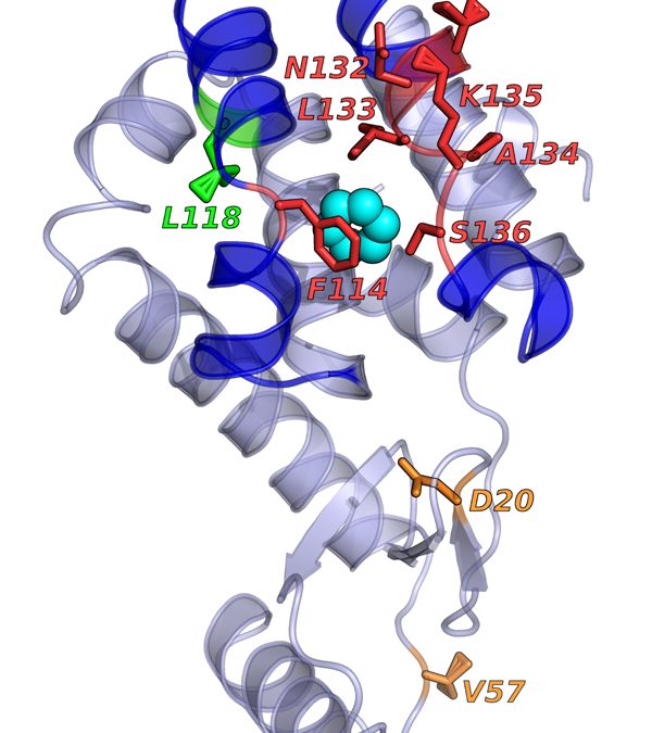 AI Uses Language Rules to Simulate Molecular Motions on Bridges