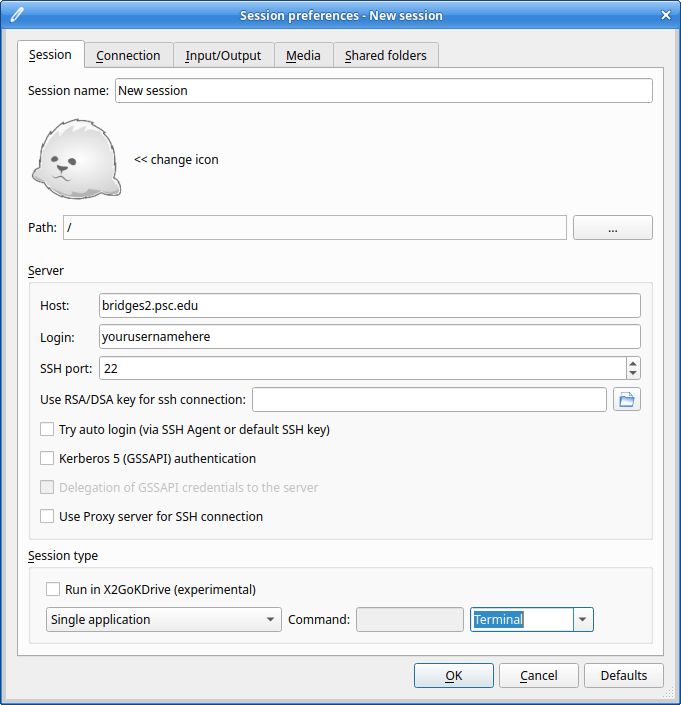 image of the X2Go configuration screen