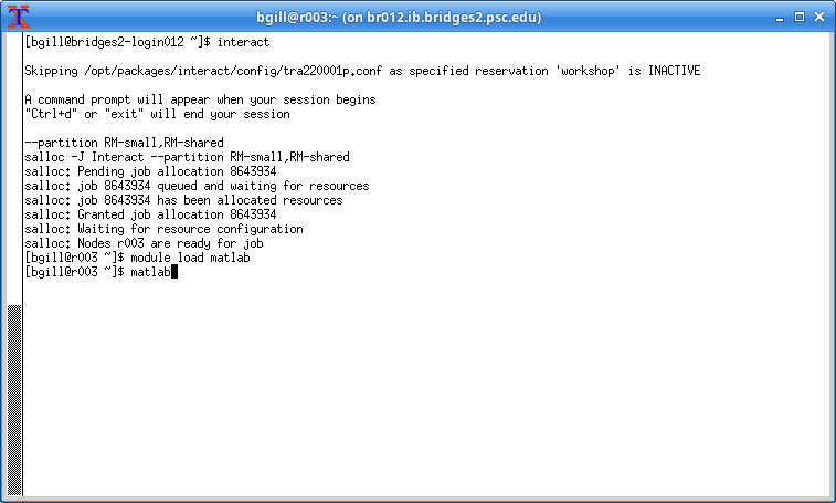 screen image of starting an interactive session and starting MATLAB