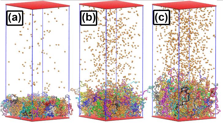 Bridges-2 Simulations Reveal Promising Properties of Polymer Brushes