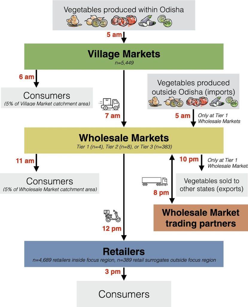 Vegetable supply chain structure. Vegetables entered the supply chain at village markets or wholesale markets, and they exited the supply chain when consumers purchased them at village markets, wholesale markets, or retailers — or when they were lost to breakage or spoilage en route. From Spiker ML et al. When increasing vegetable production may worsen food availability gaps: A simulation model in India. Food Policy 116(2023):102416-102430.