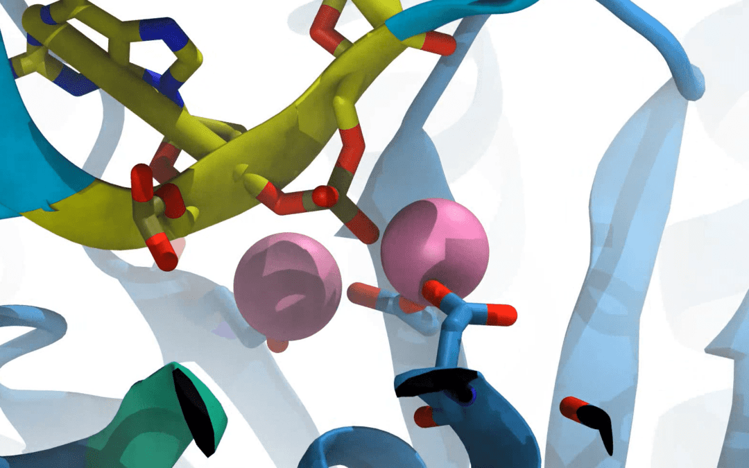 Anton Simulations Explain Delay in CRISPR-Cas12a’s DNA-Cutting Function