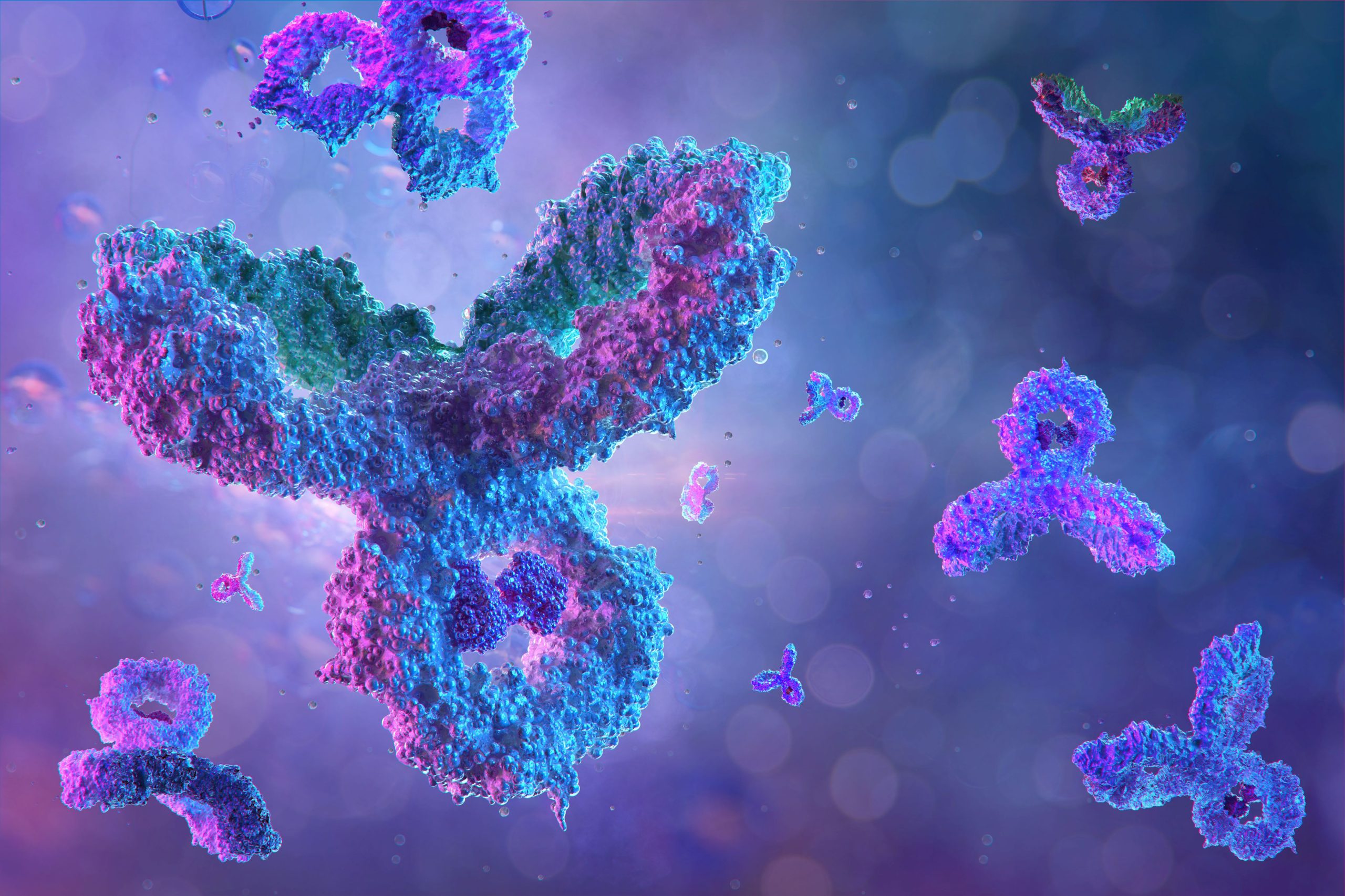 3D artist's depiction of monoclonal antibodies, shown as broadly y-shaped amalgams of atoms.