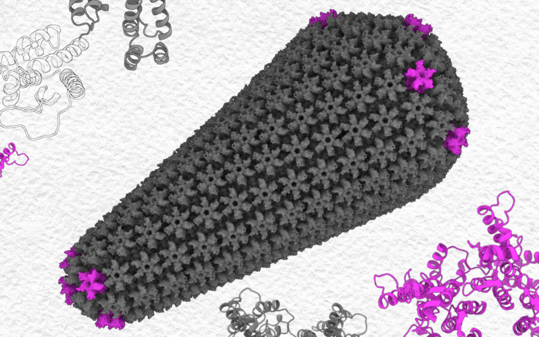 HPCwire Awards PSC Research on HIV and Failed Stars