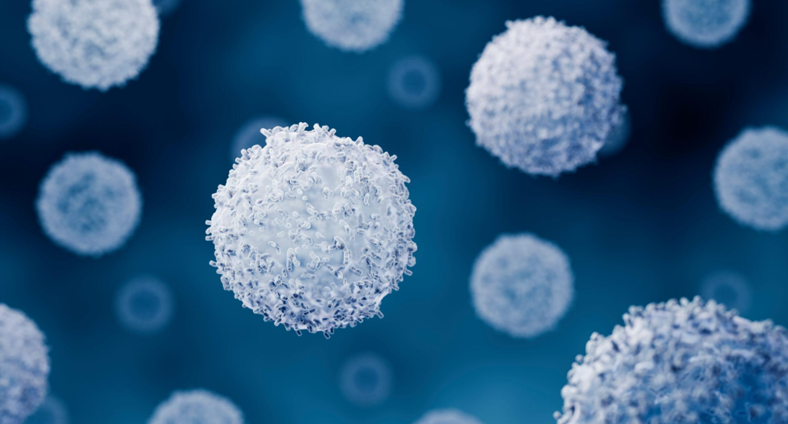 Illustration of white blood cells