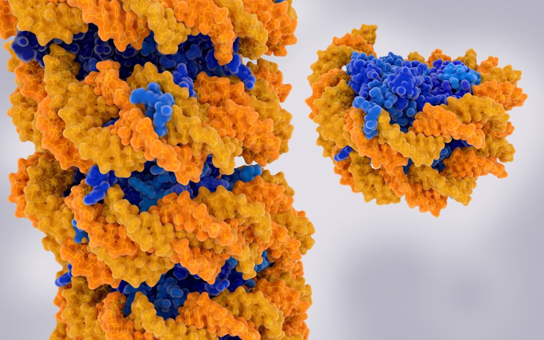 Research: Cancer Mutations Destabilize Proteins, Spur Tumor Growth