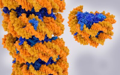 Research: Cancer Mutations Destabilize Proteins, Spur Tumor Growth