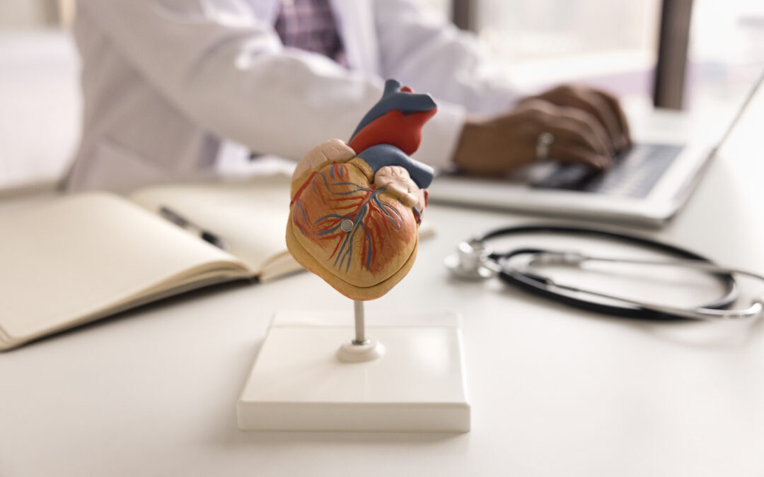 PSC’s Mario Powered First Computer Simulation of the Heart